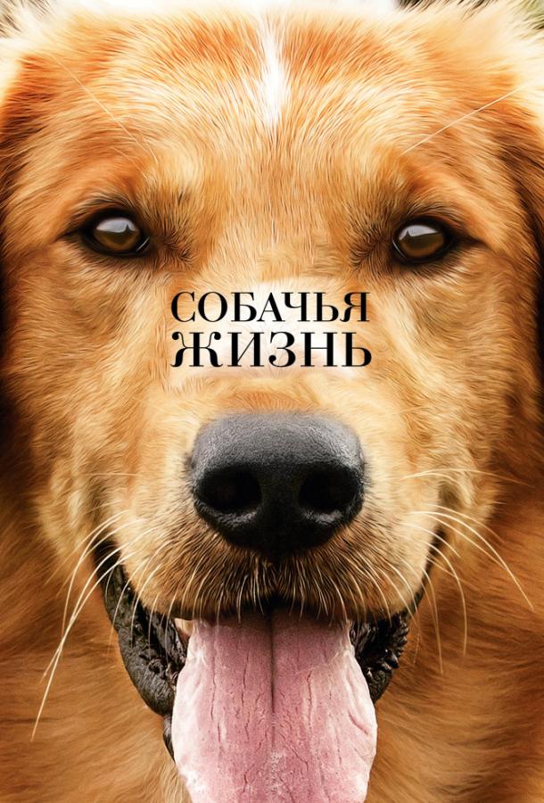 Фильм Собачья жизнь 2017 смотреть онлайн с Джошем Гадом и Габриелем Розом